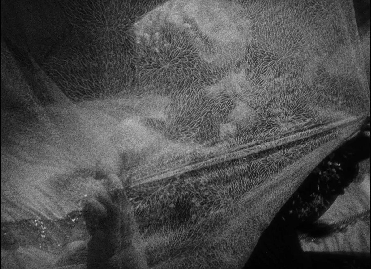 Carlos Cano tweet media