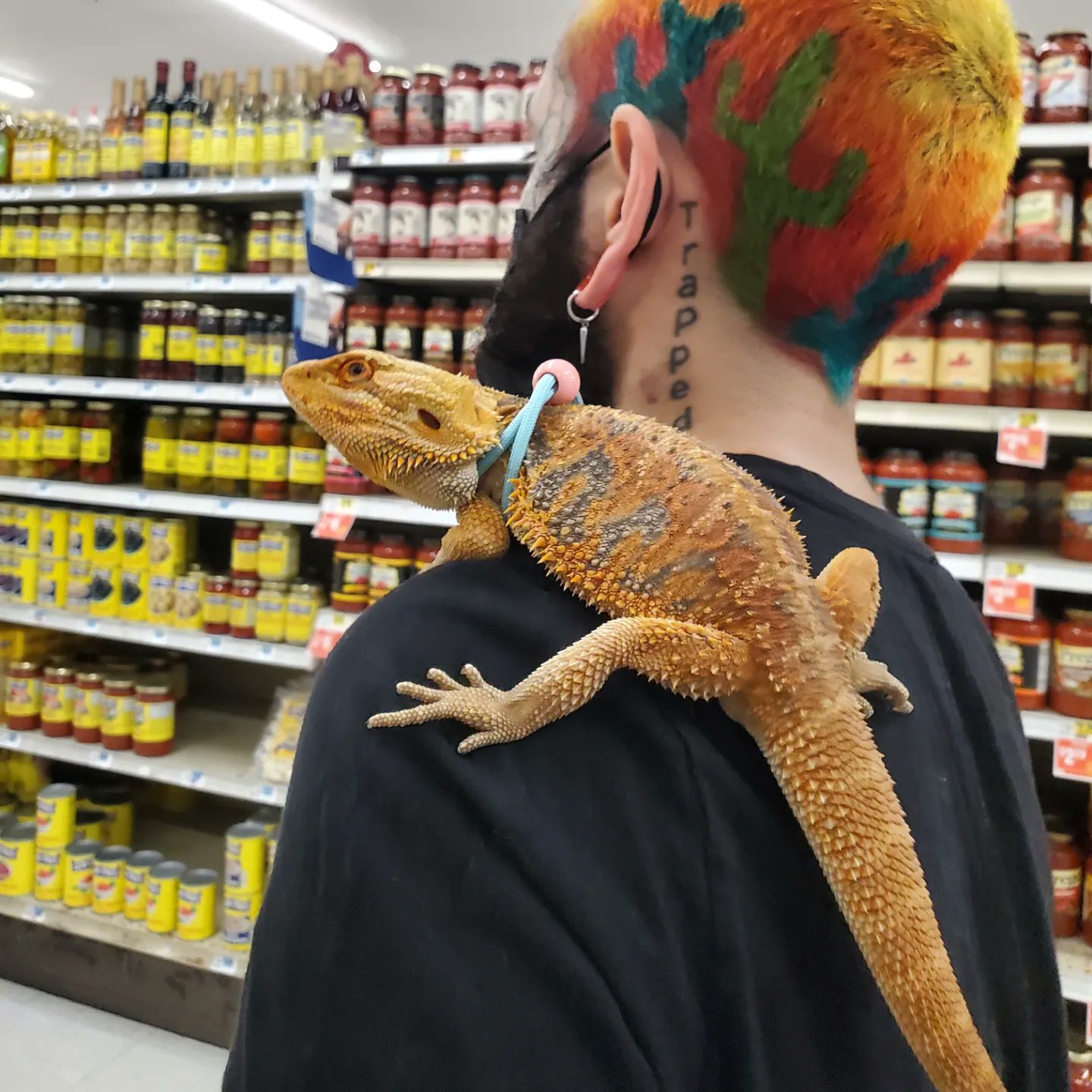 TW Pornstars CJ 🍌😜. Twitter. Lizard in the grocery store, what will