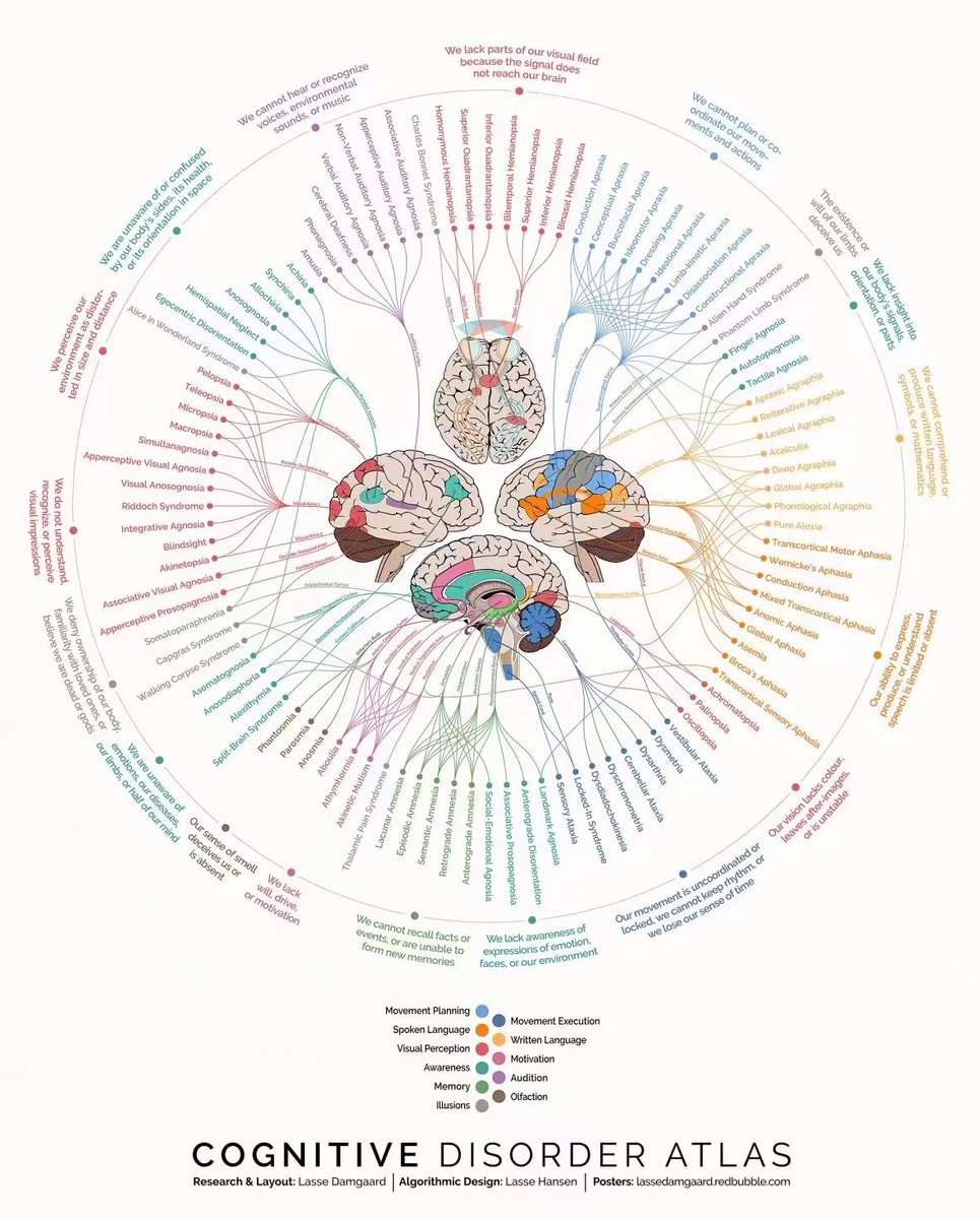 Innov_Medicine's tweet photo. The Cognitive Disorder Atlas - an overview of the #neurological underpinnings of 100 different #brain disorders @OGdukeneurosurg

#MedTwitter #Medstudenttwitter #FOAMed #MedEd #NeuroTwitter #NeuroRad #Neurology #stroke #neurotwitternetwork #neuroscience #neurotwitter https://t.co/QQ6B7pnQaA