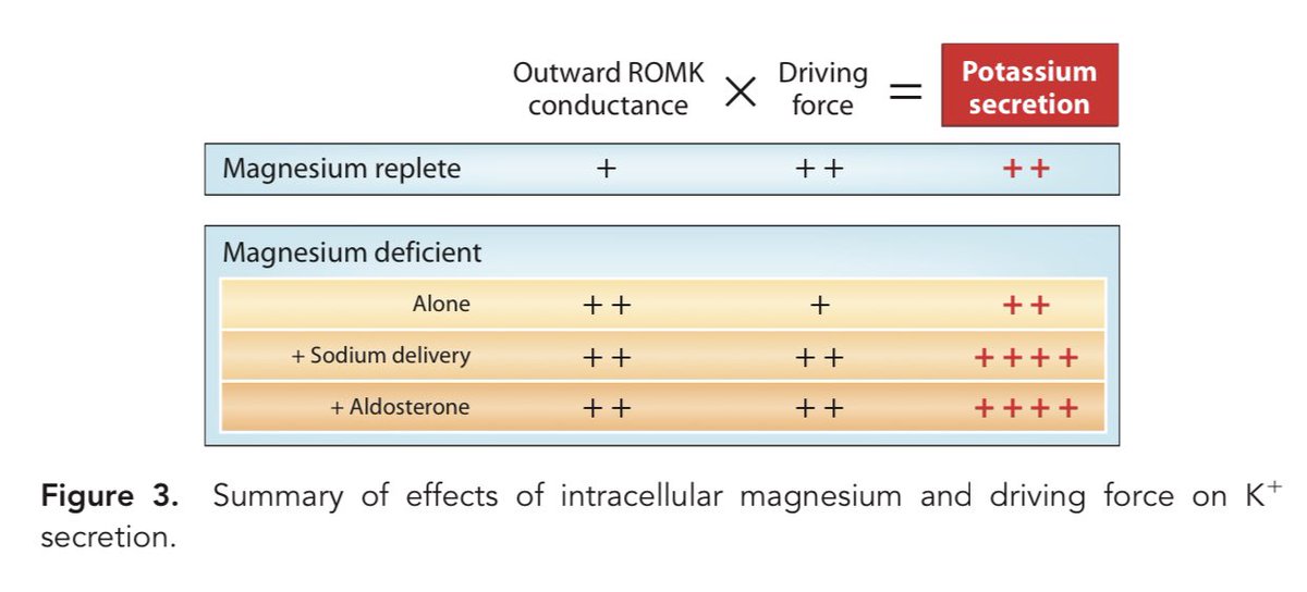 Edgar V. Lerma 🇵🇭 on Twitter "Mechanism of hypokalemia in magnesium