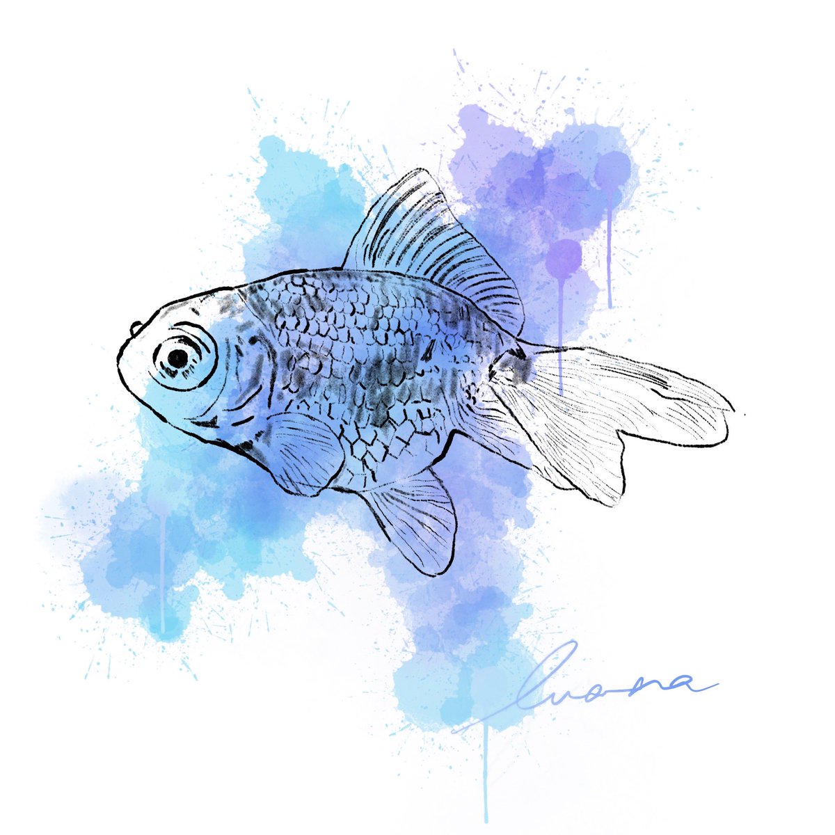 logomake_ta9's tweet photo. ファボ/リツイート/リクエスト
どれも嬉しいので気軽にお願いします😊
金魚すくいの夏祭りが恋しい...

#アートアクアリウム
#procreate
#illustration 
#goldfish
#水彩イラスト https://t.co/kAZ63IeRTl