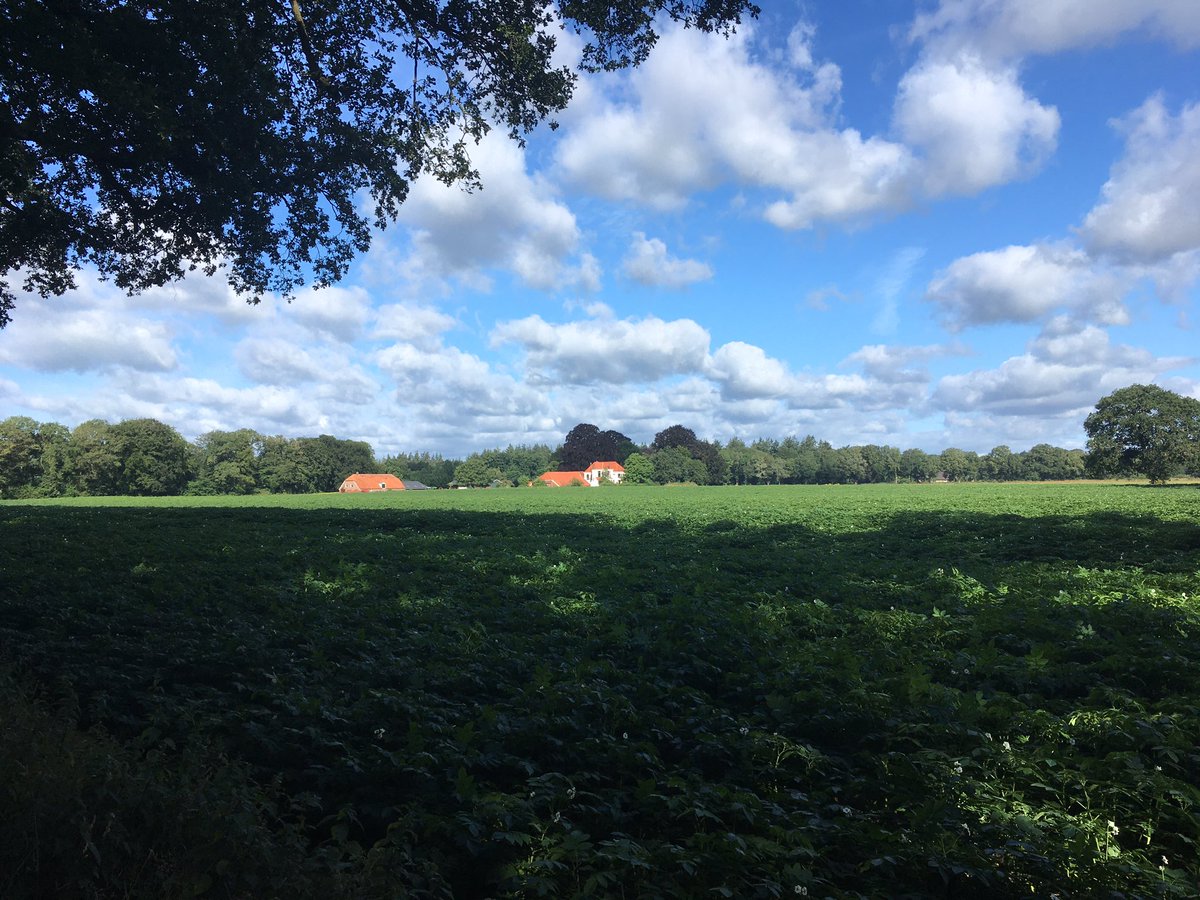 elsjonker's tweet photo. #iederedageenfoto #Deventer #deHoek https://t.co/qGxEnxqgCu