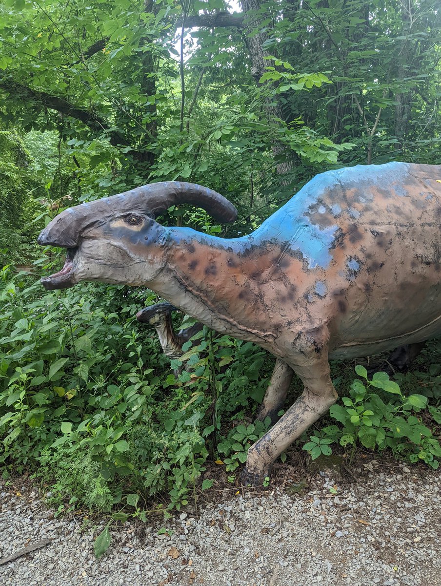 luckycreature's tweet photo. This place is awesome
#backyardterrors https://t.co/IUN9YI4hdg