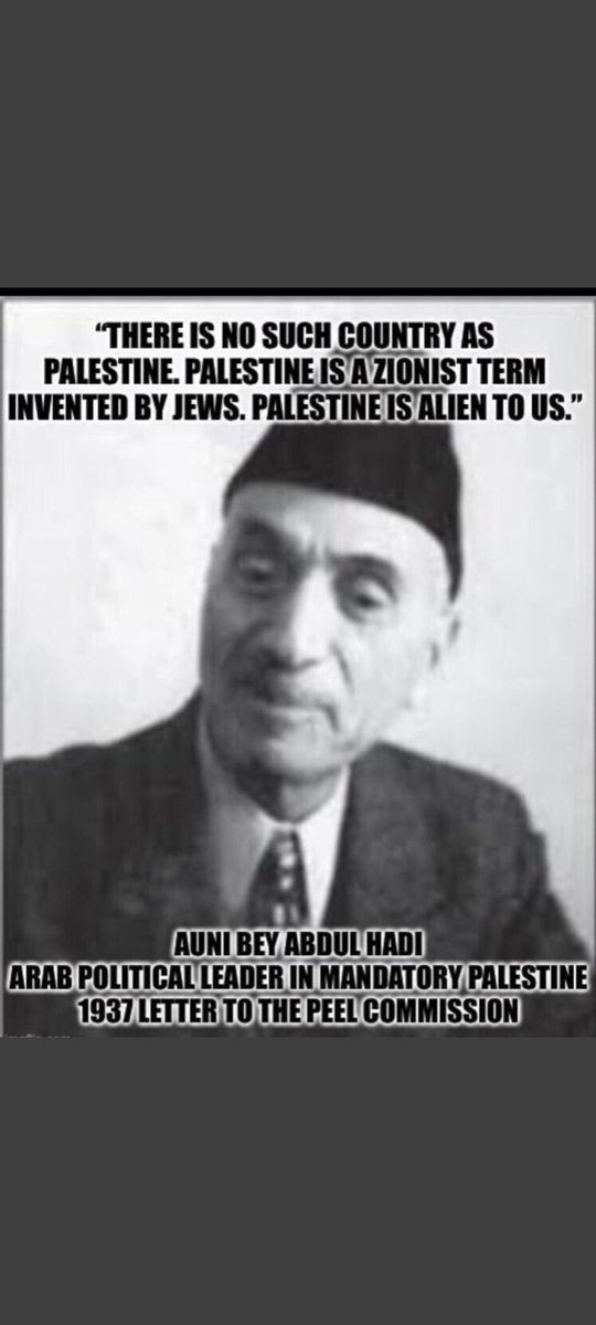 @wiseduck2 @SabineSterk @LibsterSergey ''Palestine is a Zionist term 
invented by the Jews''
letter to the Peel Comission 1937

Palestine was considered a Zionist plot

who's the Zionist...?