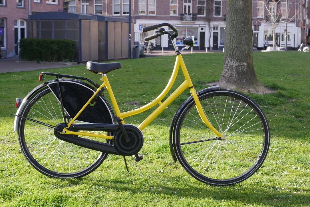 Real Dutch Bikes tweet media