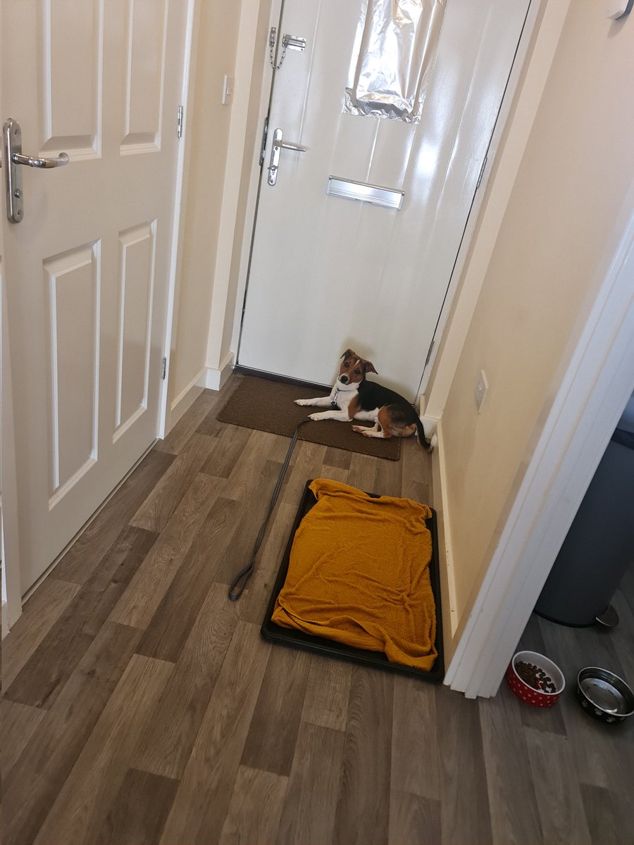 Prepare for the hot weather UK... tin foil window, 🤣 wet towel, water, fan, shady area of house. 🔥 🥵