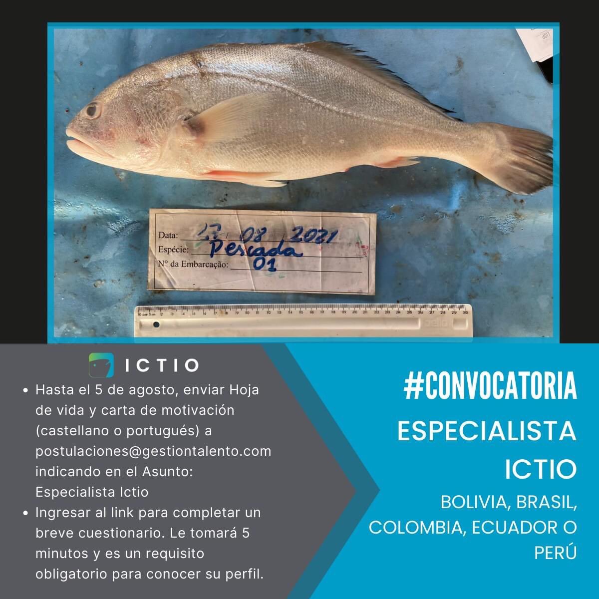 ¡Vacante!

¿Eres profesional de biología, ecología o carreras afines?

Postúlate al rol de “Especialista Ictio” y contribuye al manejo de una de las plataformas más importantes de monitoreo de peces amazónicos:
bit.ly/3AJRrT7

Cierre: agosto 5 de 2022.