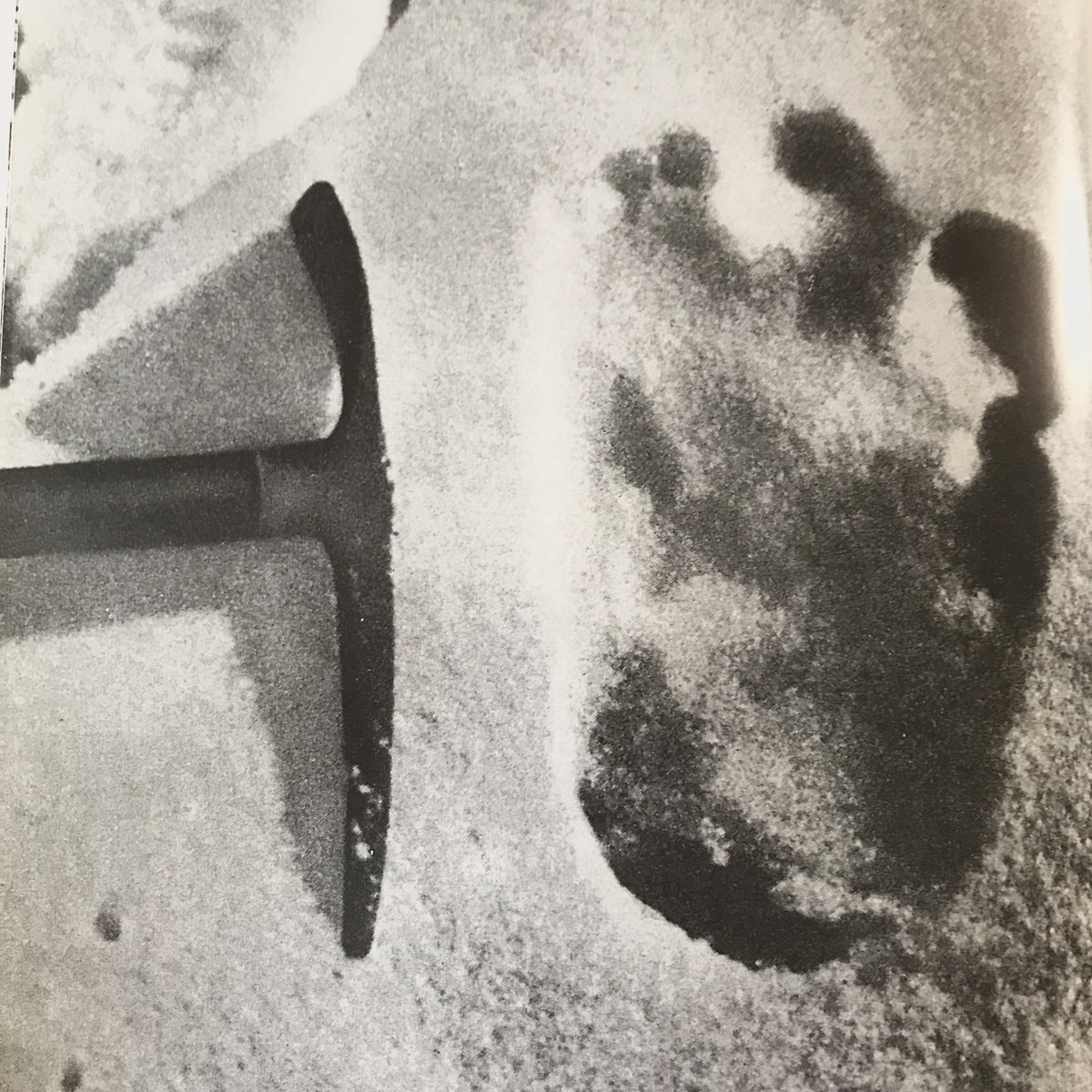 FdezMallo's tweet photo. Esta imagen fue origen de toda clase de fantasías de infancia. No me dejaba dormir al mismo tiempo que alimentaba mis sueños. Con el calor del verano y la playa, esa nieve vuelve.
Toda huella es una certeza y también un acto de fe. Llevar un Yeti dentro. -Foto #EricShipton,1936- https://t.co/2WdA4lIpzz