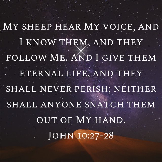 williams7_e's tweet photo. Good Morning Beautiful People of Jesus Christ Amen have a Great weekend Amen keep trusting Jesus Christ Amen for prayer His is always Faithful to His Promises Amen and Words Amen God Bless always Amen 🔥🔥🔥🙌🏽🙌🏽🙌🏽💯🙏🏽❤️🛐😇✝️🥰❤️💕💯% https://t.co/AkvW3ZTEl4