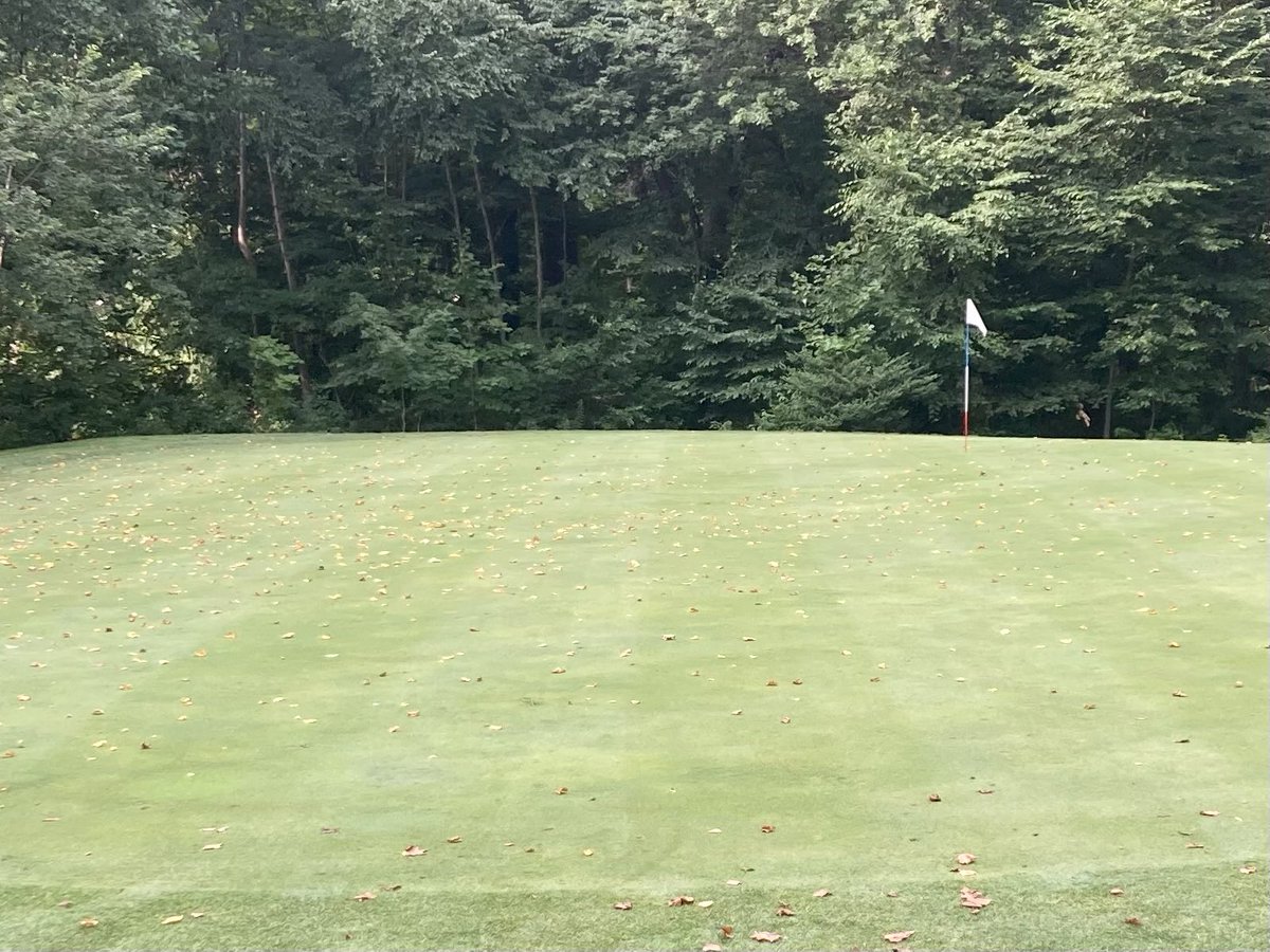 turfdoug's tweet photo. Drought stress on the trees near a green.  This green was clean about an hour ago and already covered in leaves again.  Trees are dropping leaves due to drought stress.  Anyone else seeing this? #bringtherain https://t.co/7YJx3SWCao