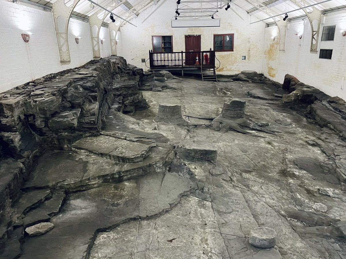 Dr Katie Strang tweet media