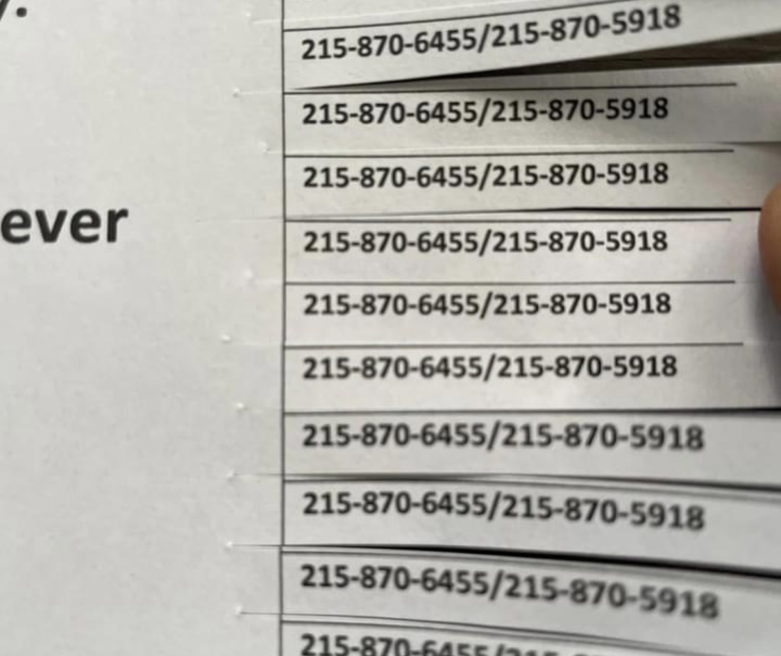 LOST DOG #Perkasie area. See photos for details.