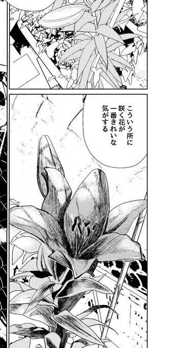 載せるものがないのでペン入れの練習に描いたやつを… 