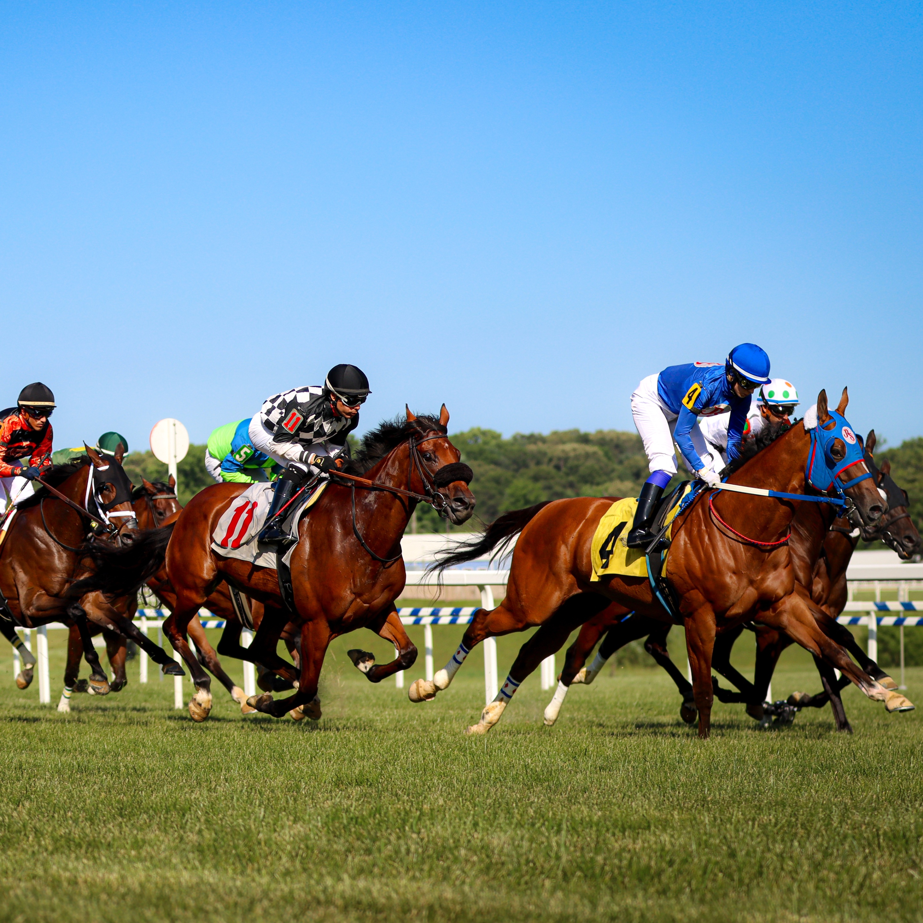 跟隨pimlico Pimlicorc 的最新推文 Twitter