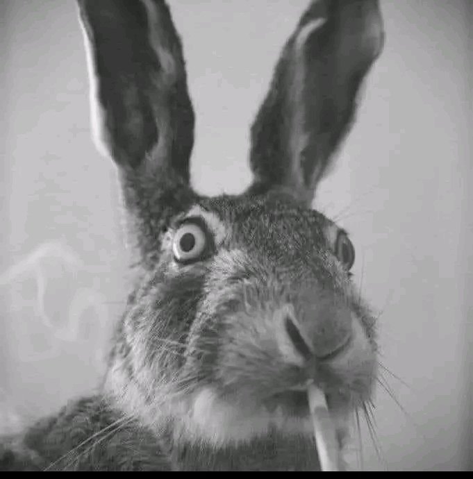 BasicallyPage tweet picture