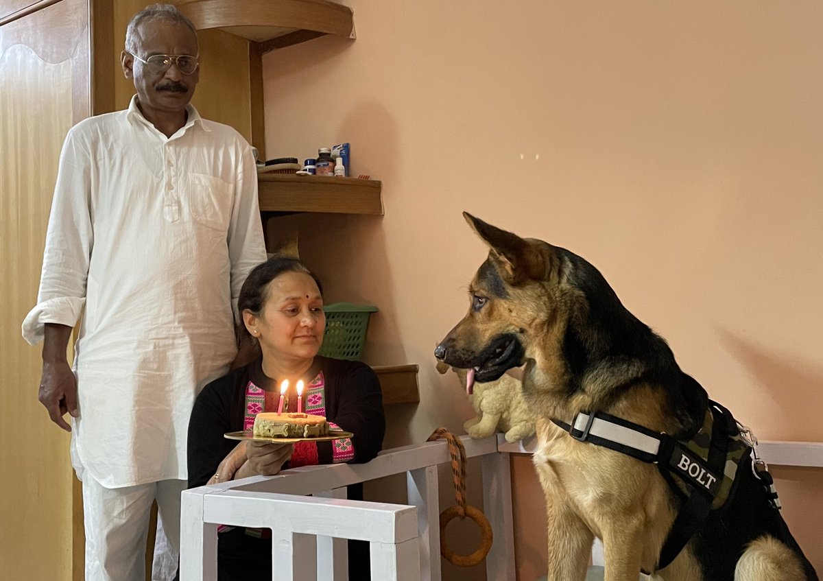 bolt_gsd's tweet photo. Today is my Burfday❤️ I am 2 now! 🐾 Hooman got me a new harness and leash with my name on it! Am a happy doggu❤️ https://t.co/zwUSFmbpvD