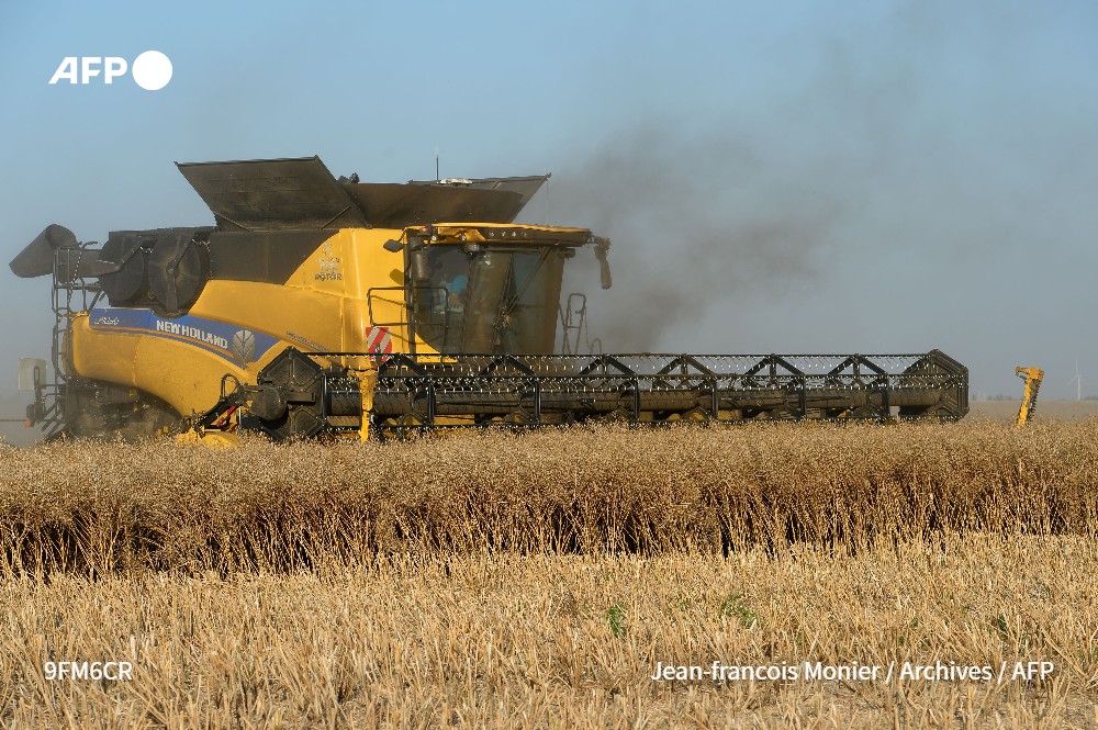 Hommes, animaux, végétaux : dans les champs et les élevages français, tous souffrent de la chaleur cette année et c'est sous la menace du feu que les agriculteurs doivent moissonner, parfois la nuit pour échapper à la fournaise

➡️ u.afp.com/wr9q
✍️<a href="/manel_mgi/">Manel Menguelti</a> #AFP