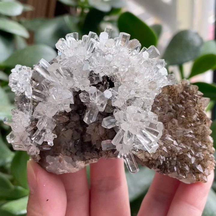 GeologyTime's tweet image. Super clear! Clear columnar calcite on quartz matrix!! Small flower shape!! Locality: Fujian province, China

Photo: XUE_mineralcollector

#minerals #crystals
