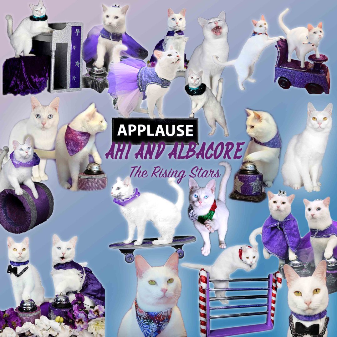Today's the day! Have mew bought a raffle ticket for tonight's pawty? Here is the finished OOAK Tunas blanket. 💜

app.galabid.com/julybirthdays2…

#acrocats #CatsOfTwitter