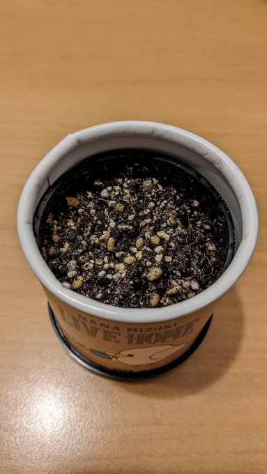 レビュー 戦姫絶唱シンフォギアaxz 5 期間限定版購入 ななと旅とエトセトラ