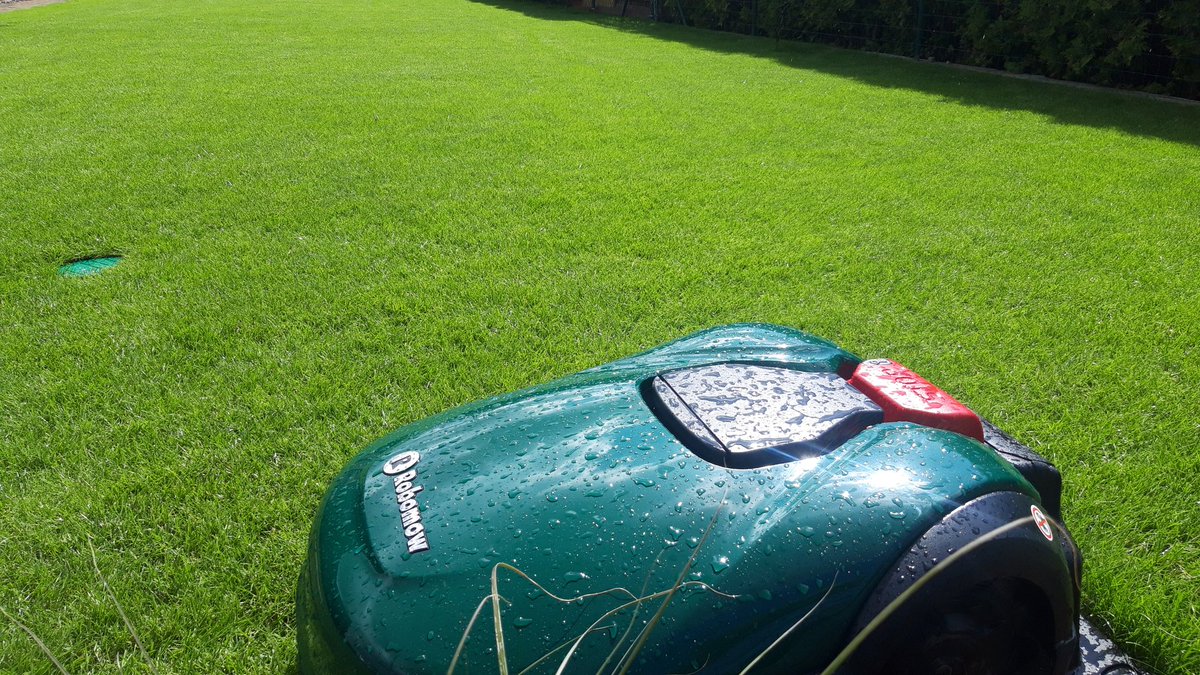 Turysta_SVS's tweet photo. Ładnie ?
🟩🟩🟩
#Rombow #Robot_koszący #trawnik #murawa #technologia #ogród #green #gras https://t.co/TrWSqi0cdC