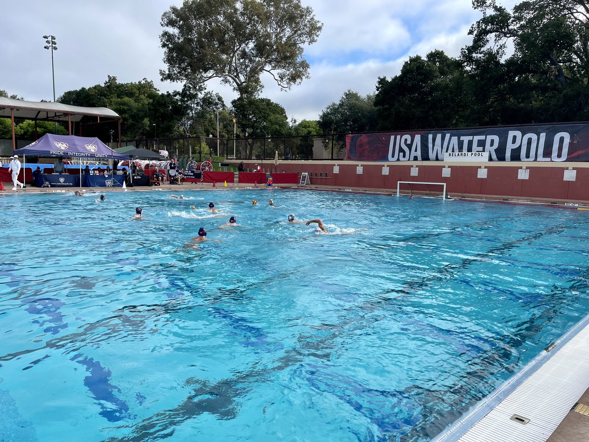 Moose Water Polo tweet media