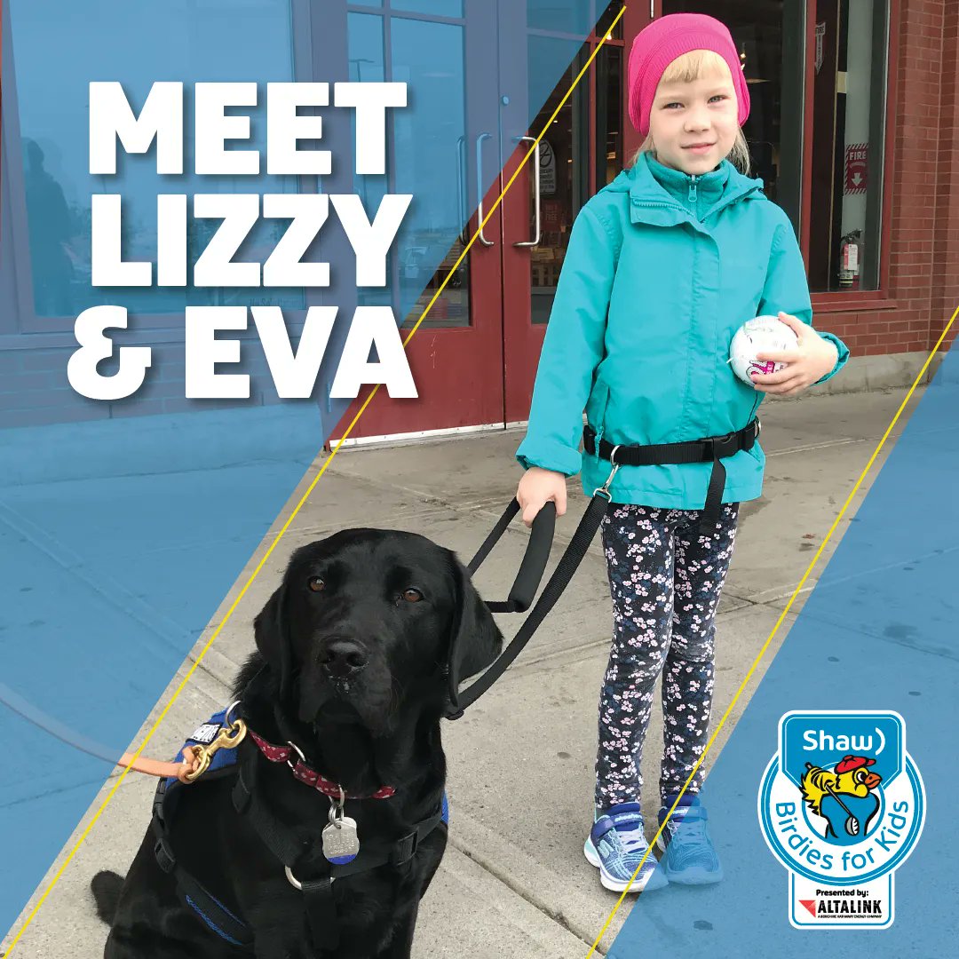bcguidedogs's tweet photo. #AutismServiceDogs like Lizzy provide increased safety and support for a child with autism and their family. This summer @Shaw #BirdiesforKids presented by @AltaLink will match donations to #AlbertaGuideDogs up to 50%. Donate online at: https://t.co/j1NTWSZiBA
#StorySaturday https://t.co/TKScg7cJkF