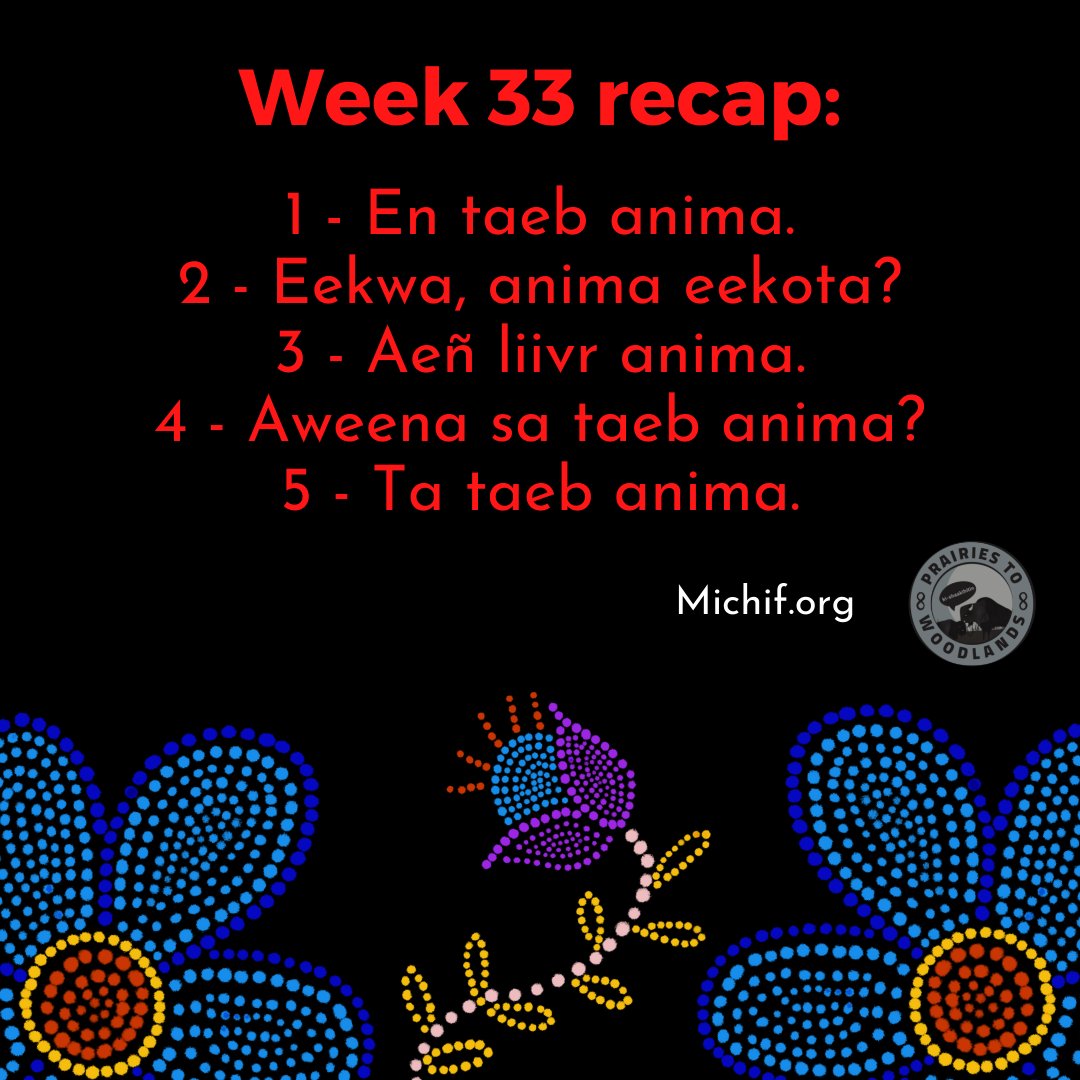 All anima phrases this week. Do you feel confident judging the difference between ana and anima words? Let us know your thoughts!

#michif #metis #indigenouslanguages #indigenous #manitoba #endangeredlanguages #languagerevitalization #learnmichif #wordoftheday