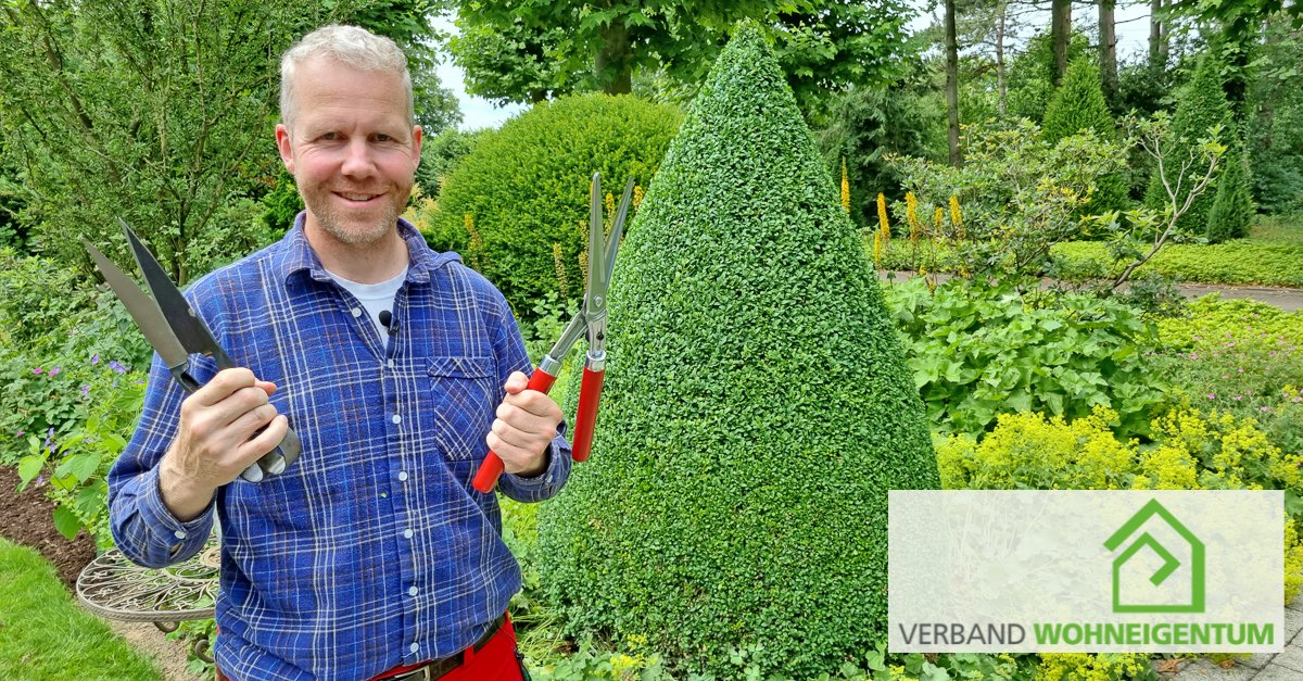 WohneigentumNRW's tweet image. Brandneues #Video „Buchsbaum richtig schneiden: So klappt der Pflege- und #Formschnitt “.  Wann, womit und wie oft sollte ich meinen #Buchsbaum schneiden, damit er schön kompakt bleibt? #Gartenberater Philippe Dahlmann gibt Tipps zum #Buchsbaumschnitt:
youtube.com/watch?v=o-NHhq…