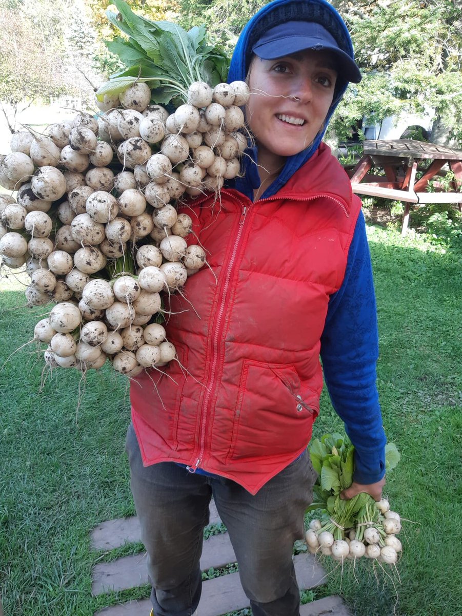 hellofrombarry's tweet photo. Sharing Nourished Roots Market Garden (https://t.co/trzCw5me5r) for the eQuo #GoSmallCanada Challenge.

Nourished Roots Market Garden is a 2/3 acre micro farm located in beautiful #Mono Ontario on rented property. They practise no-till and hand tend their crops. https://t.co/WSZFbbwtVU