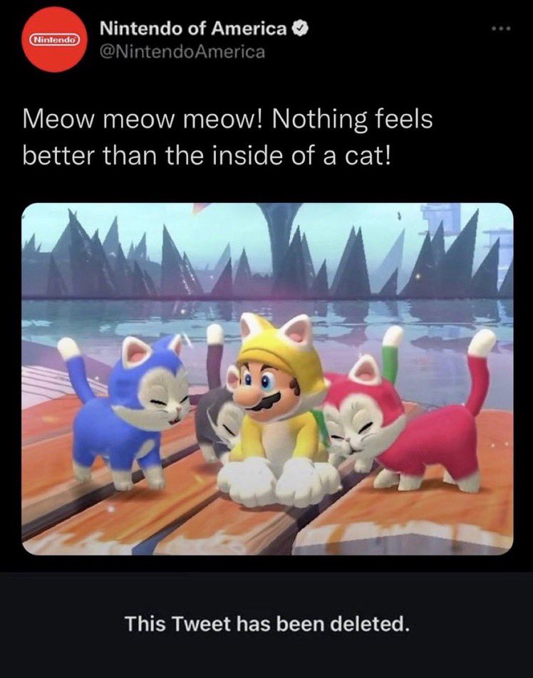 Deleted Tweets on Twitter "Why the hell did Nintendo tweet this 💀"