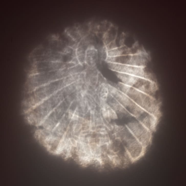 HeyJoy's tweet image. Mirror mirror on the wall… very cool find via @cincyartmuseum. cnn.com/style/article/…