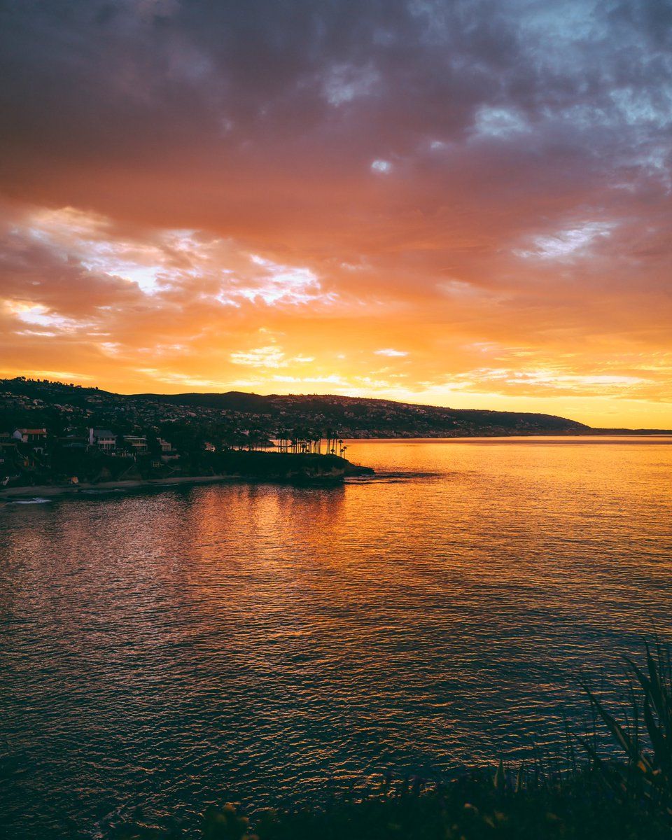 deb0's tweet image. GM views