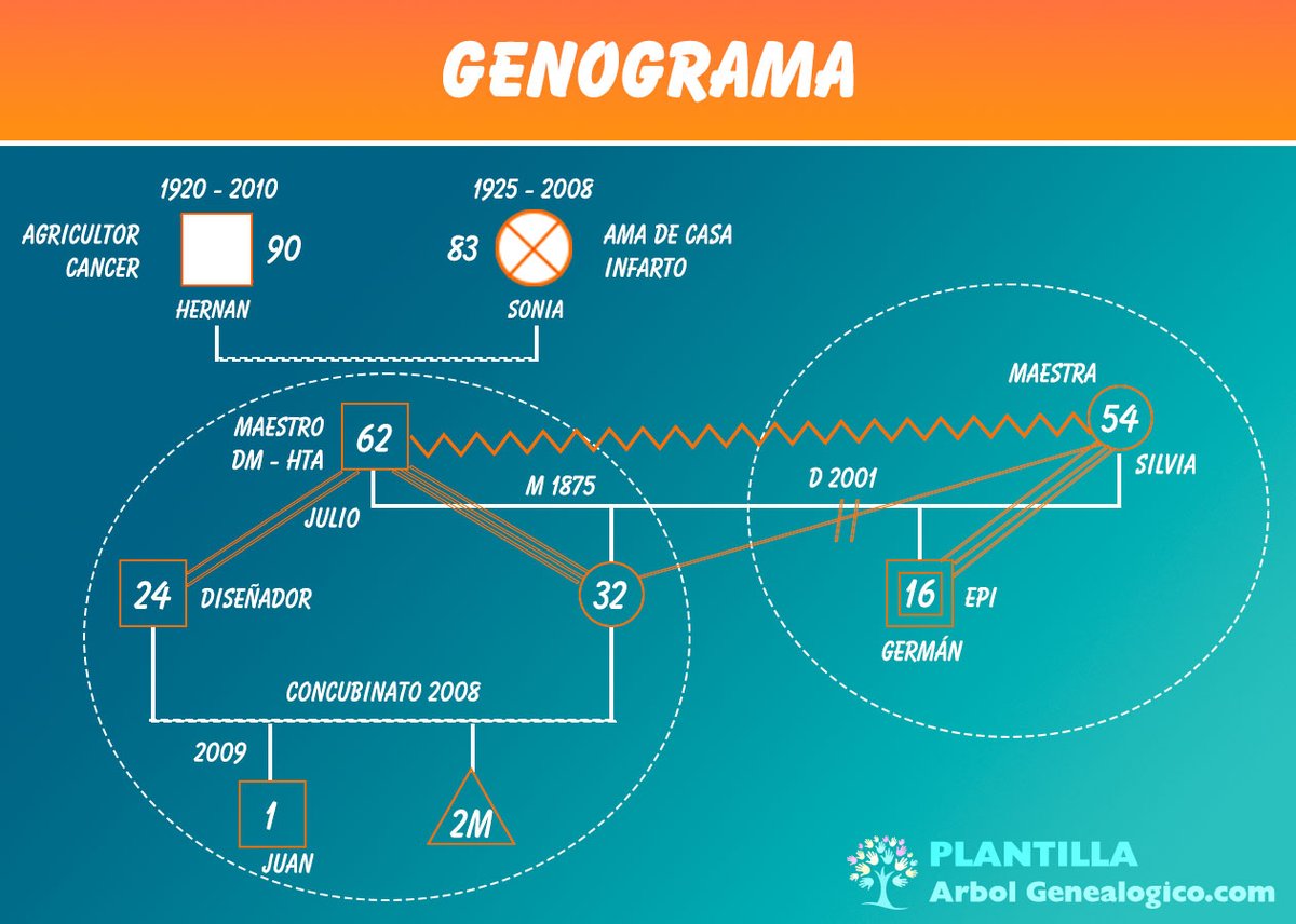 Arbol Genealogico tweet media