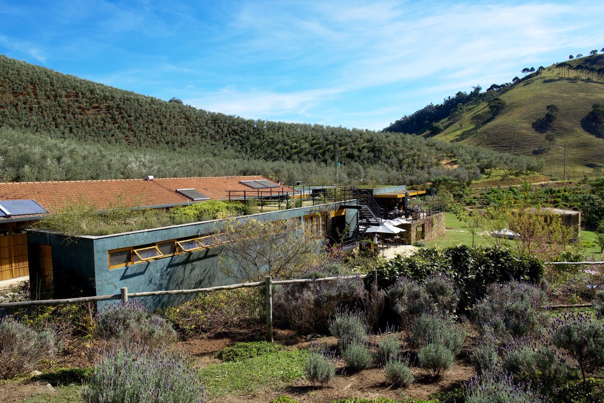 ImbFrank's tweet photo. #oliq #oliveoil #farm #SaoBentodoSapucai #serradaMantiquera #SaoPaulo #Brazil #Brasil https://t.co/aARBktm5WA