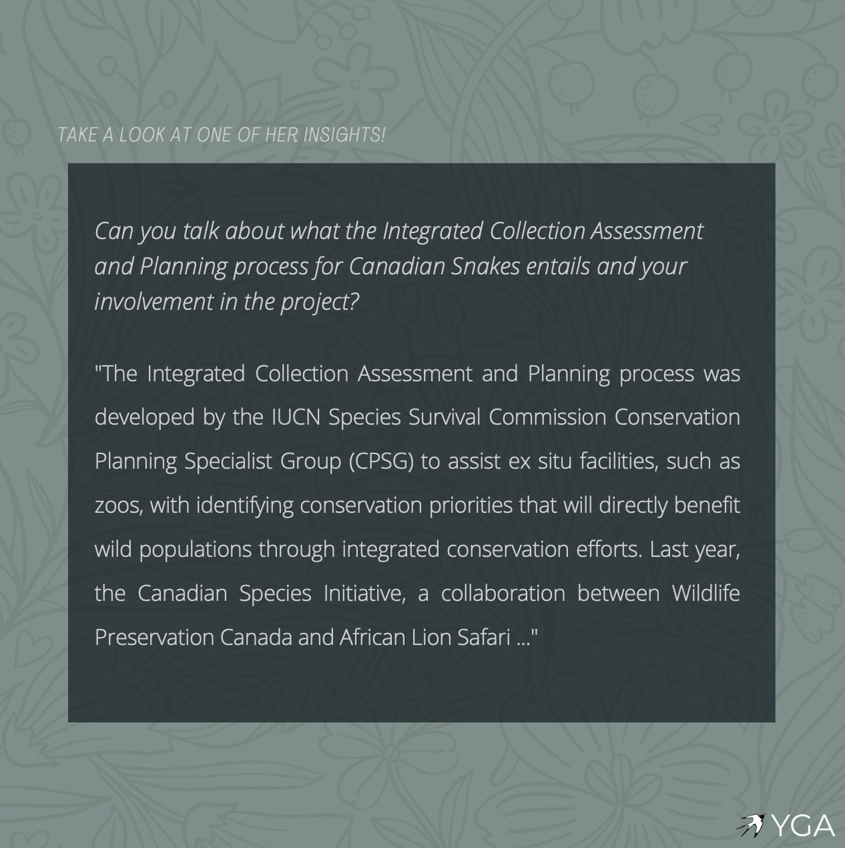 Meet Stephanie Winton! She is Conservation Biologist from Canada, focused on species conservation planning for Snakes! Learn what she has to say about Roadkill research and what it takes to work with snakes 🐍🌲

#worldsnakeday #snake #instagood #stem #photooftheday #research