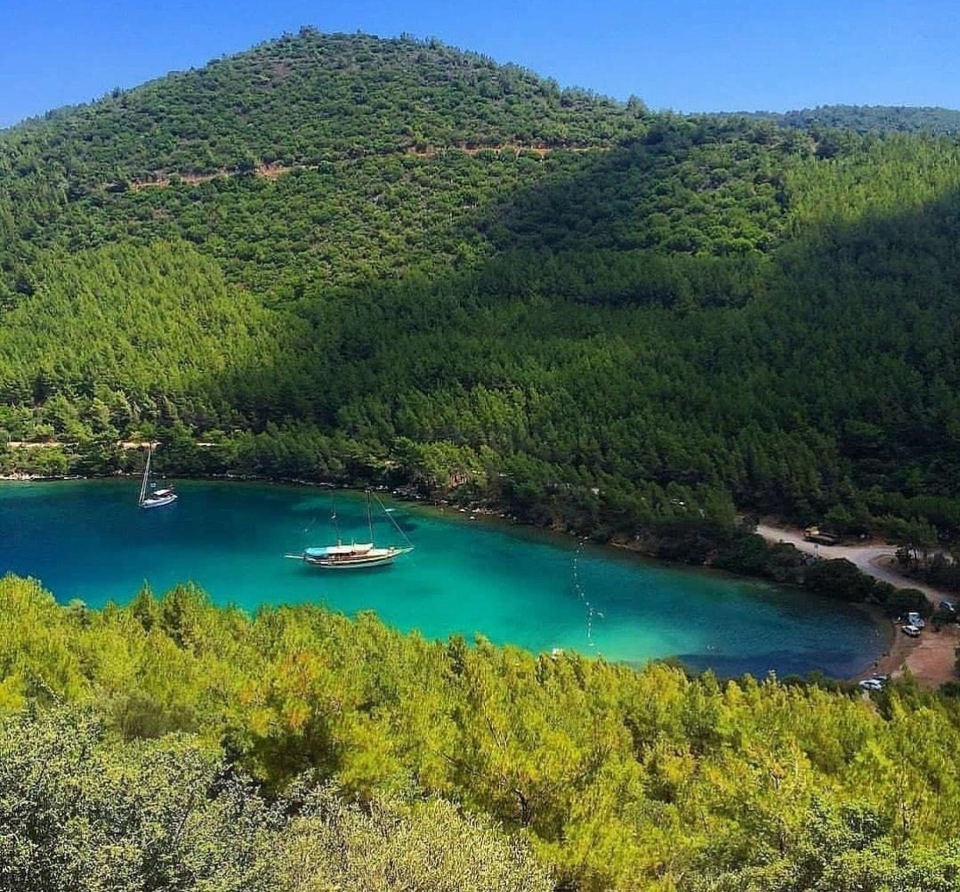 #CennetKoyunaDokunma 😡