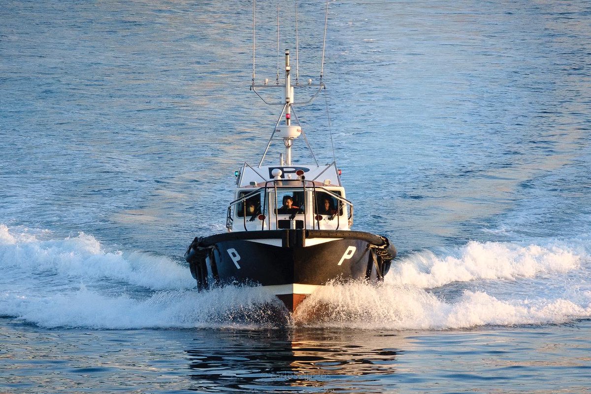 CarlosDuclos10's tweet photo. Trabajo realizado…👌Work done #satisfaction #satisfaction #pilotboat #algecirasport #seamanlife⚓️ #halmatic #fujifimxt3 #fujinon100400mm https://t.co/y4xpqSMWs5