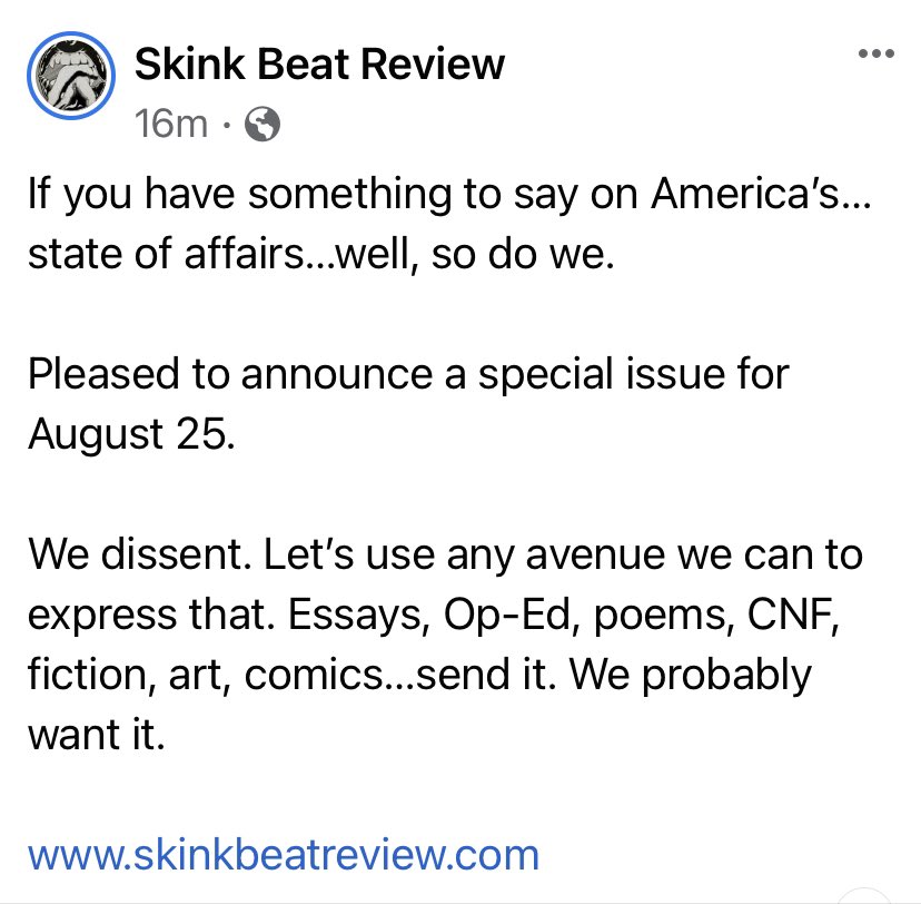 skinkbeatreview.com