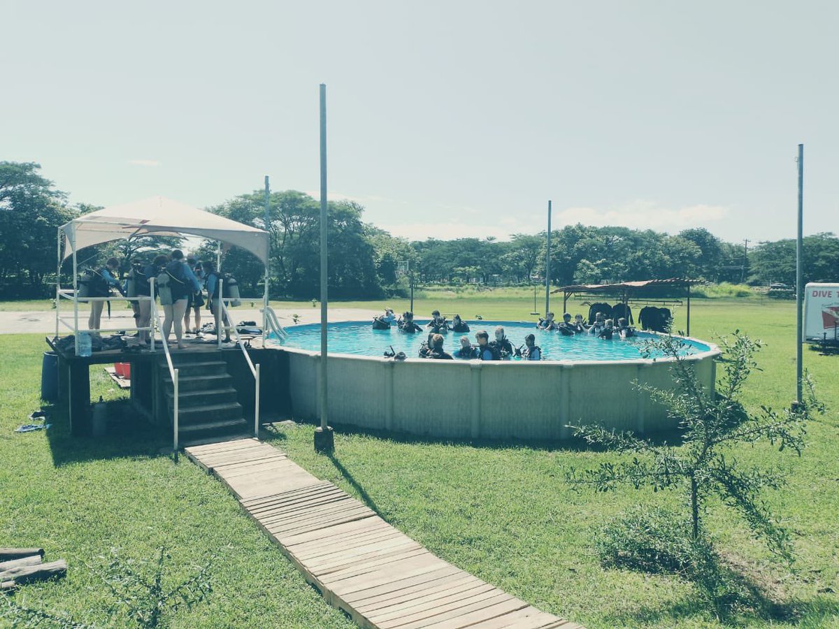 #TeamPizote keeps on working on their diving skills this morning at #CampPapagayo 🙌🏽 <a href="/CampsInt/">Camps International</a>