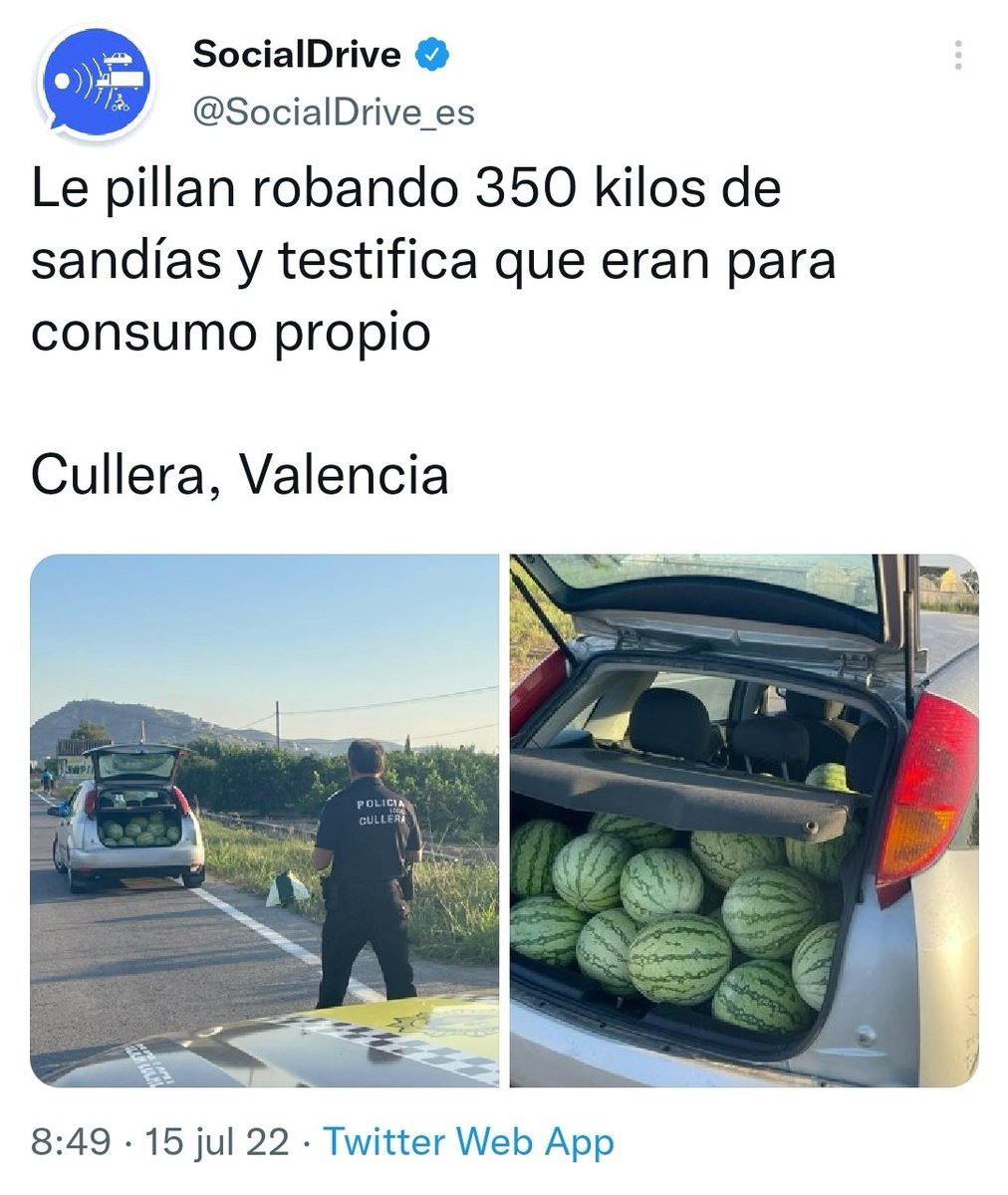 Larry Walters tweet media