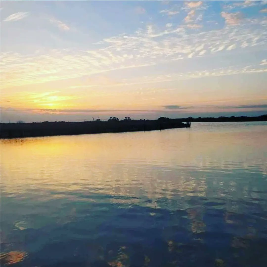 inez_tripson's tweet photo. 4.44 acres right on the beautiful San Bernard in Brazoria, Texas. 1 mile by boat directly into the Gulf of Mexico. perfect, no restrictions commercial or residential location.  $677,945. available to slpit into 2 acre/2.44 .  call 979.292.0010 for information. https://t.co/xTphtUcqne