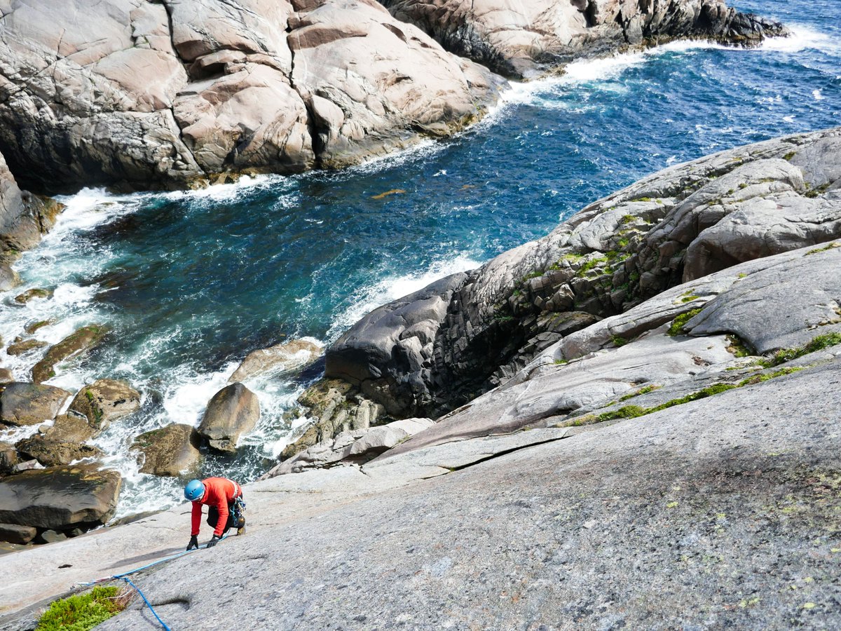 Al Powell tweet media