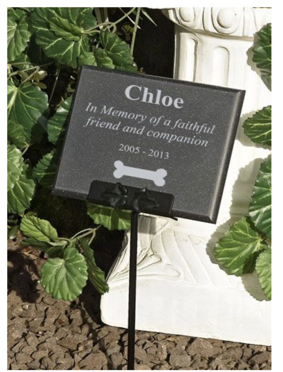 DinnTrophy's tweet photo. Happy to report that our outdoor plaques are back in stock! 🌺 https://t.co/oJ4QdOqPFH https://t.co/PZ7ivNIYB8