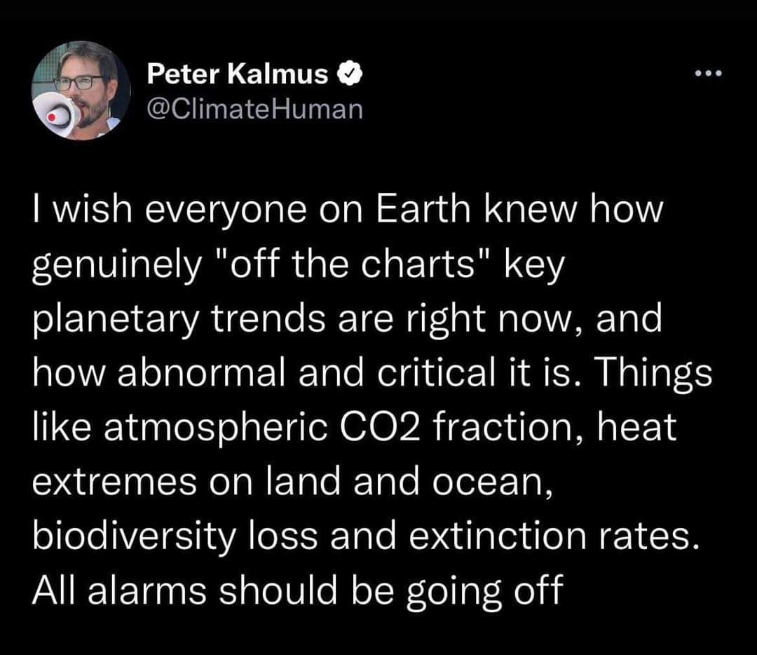latinlingo72's tweet photo. Blinded by trinkets. #ExtinctionLevel #ClimateCrisis #ClimateEmergency #ClimateActionNow https://t.co/LqLQYlckun