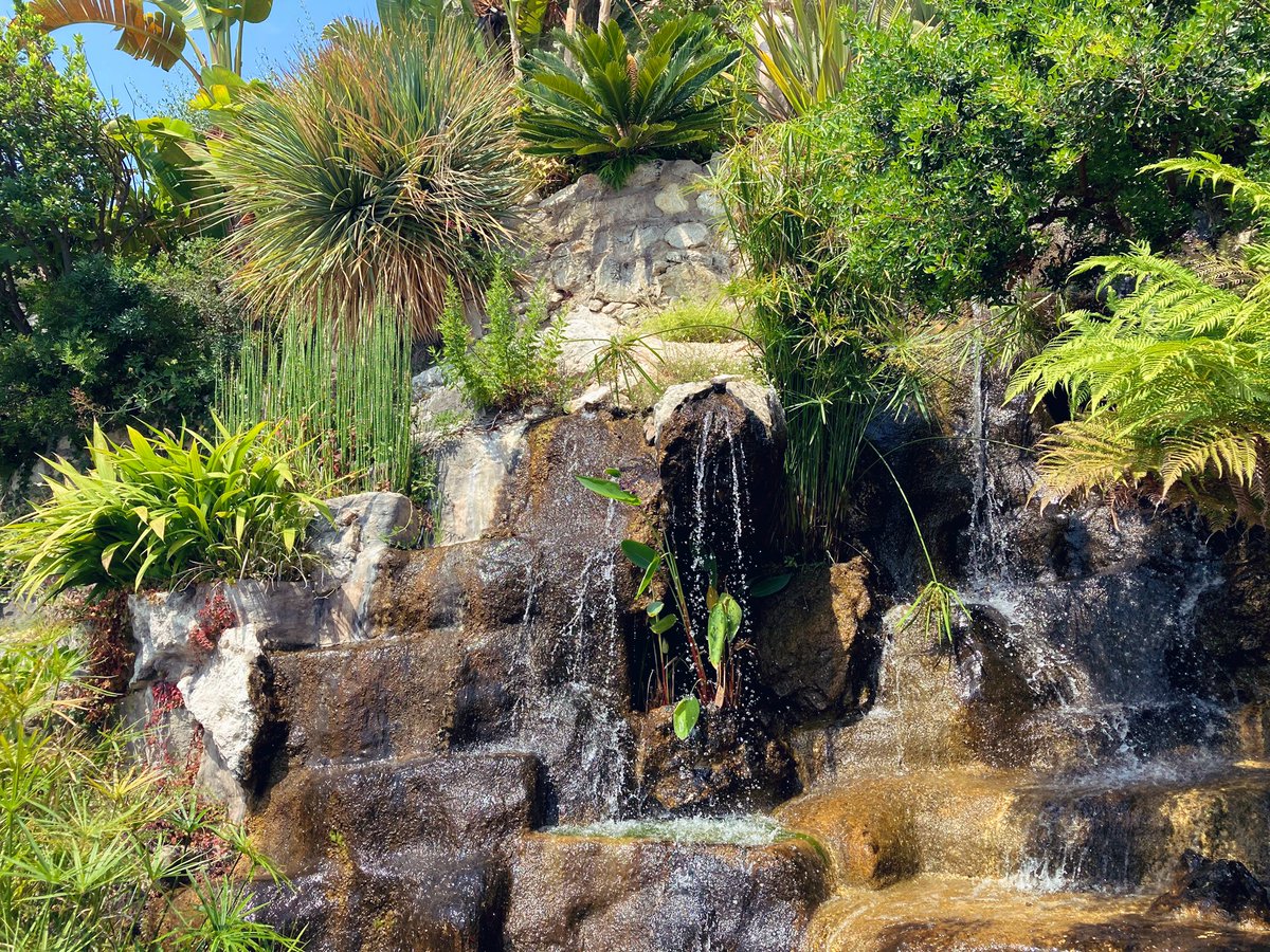 CatieKnoverek's tweet photo. In the south of France, there’s a village on top of a mountain. At the top of the village is a garden and at the top of the garden are ruins to an old castle. And that is where I got married 🥰💍🥂 https://t.co/ZeE3O2Yc7A