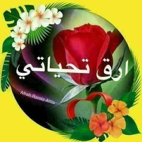 aboHada10's tweet photo. @Bnt01Mero https://t.co/MuqlgvWF6E