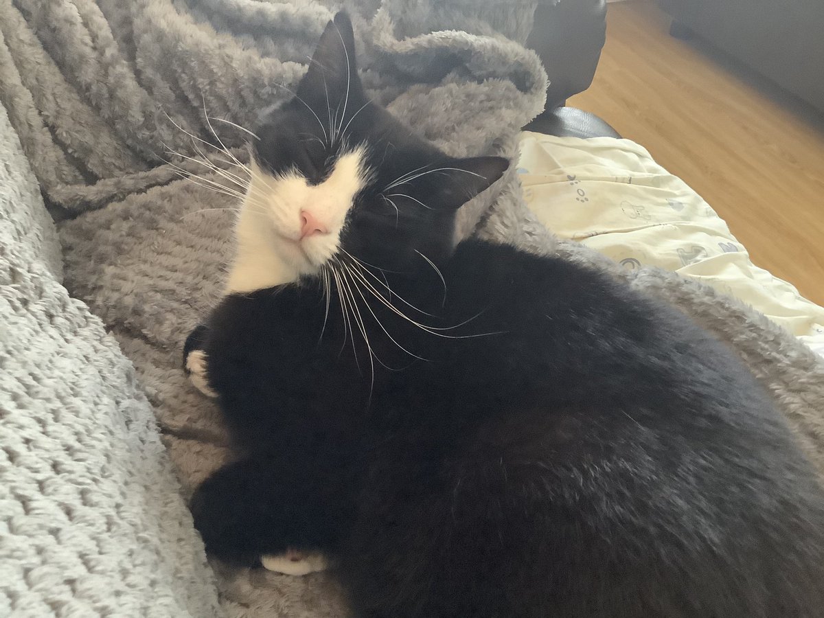 Okay so this MIGHT be good… mum has a fever right now, last time this happened with the nasty long covid, mum got better a few days later!! (she crashed cause overdid it but wouldn’t do it this time…) 

Please dear god let this be what’s happening here 🙏🥺✨
