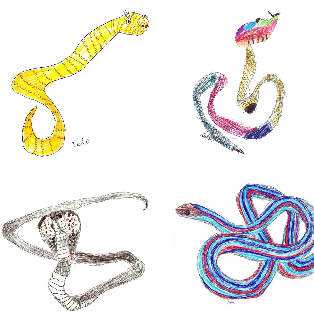 DrawingftPlanet's tweet photo. #WorldSnakeDay we're celebrating the diverse beauty of these misunderstood reptiles. With over 3,000 species here are amazing snake drawings of Eyelash Viper by Scarlett, Common Adder by Kieran, Vulnerable Chinese Cobra by Eadie & Endangered San Francisco Garter Snake by Ava🐍 https://t.co/Qhon83NCmi