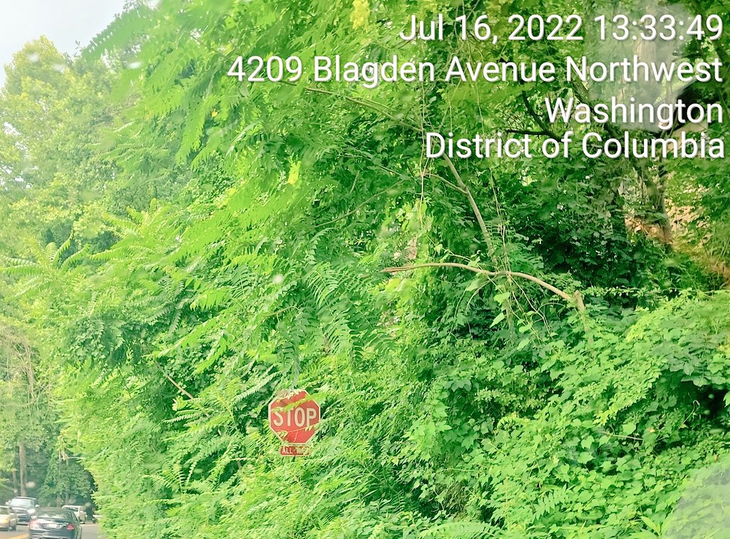 LCAGDC's tweet photo. Request Where is the #StopSign #TrimNeeded 4209 Blagden Ave NW @311DCgov
@oucmecalling311 @DDOTDC @DDOTDCDirector @councilofdc @DCist @AdamTuss @Killmoenews1 @CarProblems3 @FIXWMATA @PoPville @SafeSidewalksDC https://t.co/Uq2NVk2xbw